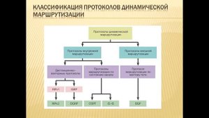 Основы динамической маршрутизации - классификация протоколов и методик