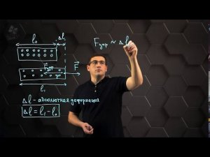 Сила упругости. Закон Гука. 7 класс.