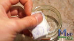 Серная шашка от клопов