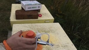 Мой опыт борьбы с клещом препаратом ТАЛПАН