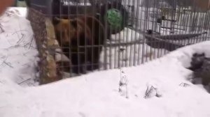 Перерождение: Монстр / Re:Monster \ Обзор Ранобэ