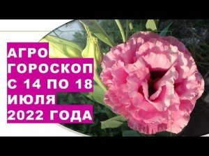 Агрогороскоп с 14 по 18 июля 2022 года