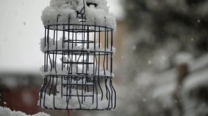 Soulful music. Winter and snow