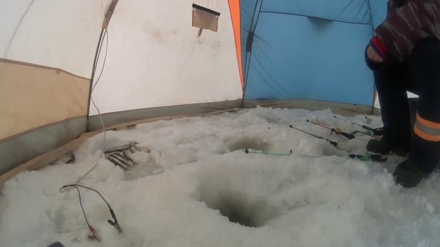 Морская рыбалка на корюшку. Белое море зимой