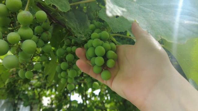 Наконец-то установили видеонаблюдение, теперь у нас не будут тырить металл смотреть онлайн