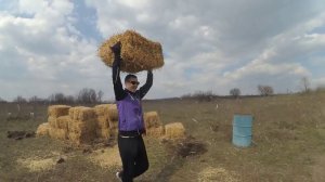 Пермакультурный проект "Живой дом". Сажаем 100 деревьев за 1 день!