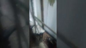 Розжиг бубафони на пеллетах.