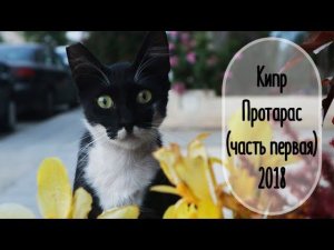VLOG Кипр Протарас (часть первая) 2018 AMIX