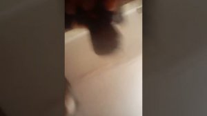 Глок из пластилина