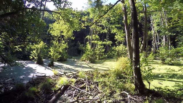 Поход на о.Рюген 2016 1-вая часть смотреть онлайн