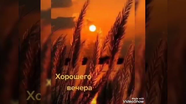 🎀|ФУТАЖ| Хорошего вечера| смотреть онлайн