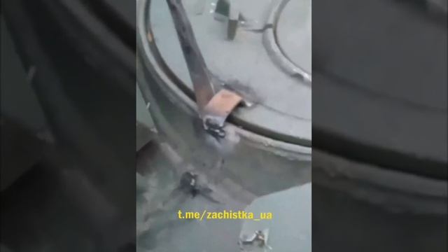 Заваренный люк смотреть онлайн