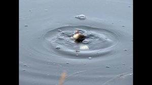 Рыбалка  в Платово Ростовской обл.