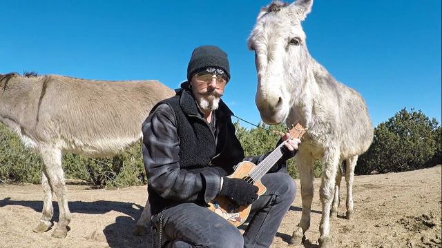 Just a simple Ukulele Jam for Hazel the Donkey смотреть онлайн