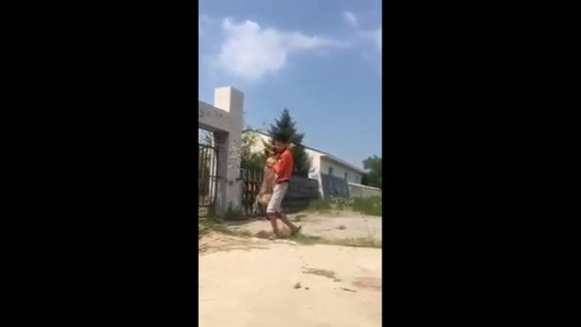 Уникальные способности