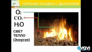 Дыхание растений. Биология в стихах 6 класс.