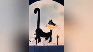 ТОЛЬКО ЧЁРНОМУ КОТУ И НЕ ВЕЗЁТ . . .