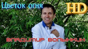 Владимир Волынкин-Цветок огня