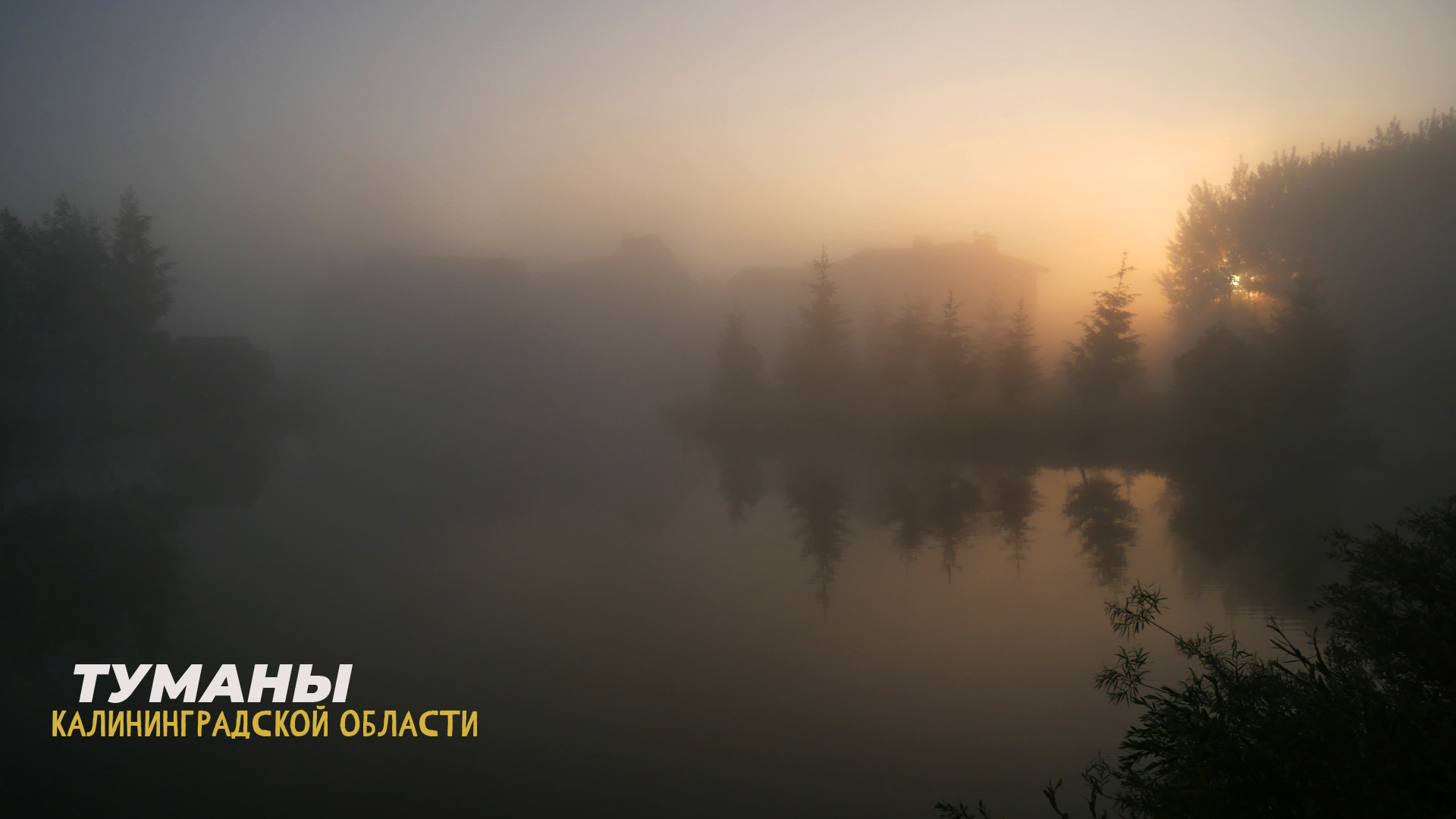 Живописные туманы в Калининградской области на рассвете - лето 2022