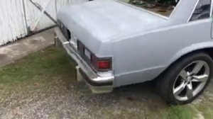 1979 chevy malibu project