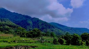 Into the NATURE ll Travel Cinematic Video in West Java, Indonesia ll S_Budiyono