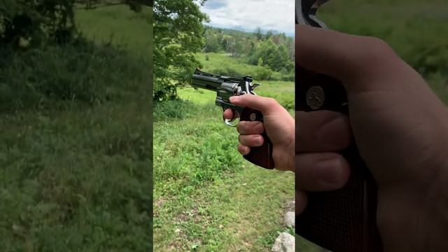 First shots! Colt Python 2021 357 magnum