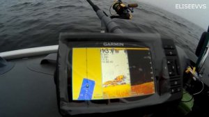 тест эхолота Garmin STRIKER Plus 5cv