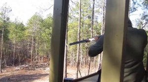 Skeet / Clay Shooting - Barnsley Gardens, Georgia