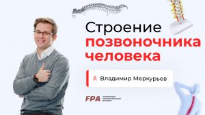 Строение позвоночника человека | Владимир Меркурьев (FPA)