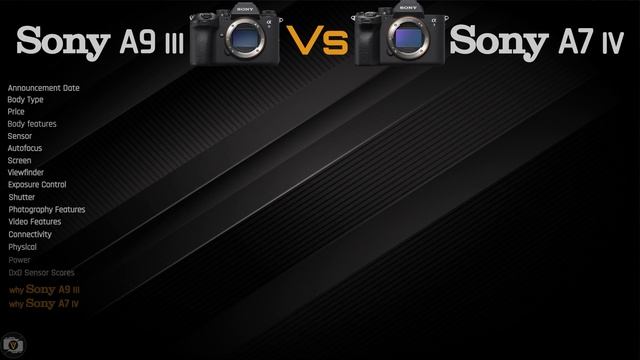Camera Comparison : Sony A9 Mark III vs Sony A7 Mark IV