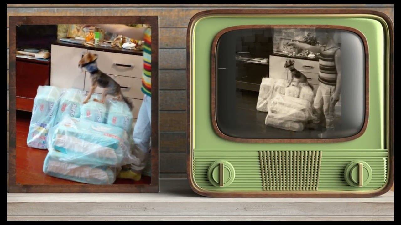 Тоша Новый 2024 год! смотреть онлайн