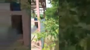 Картина Поселка Прохладного,Лабинского района , Краснодаского края.