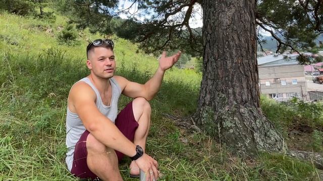 Алтай, с. Чемал.  Восхождение на гору Барантол 1334 м.