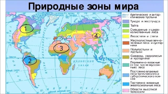 Дистанционная подготовку к ВСОШ по экологии (9 класс), педагог ЦТРиГО Штабе Е.С.