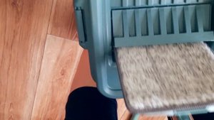 Крутая швабра с ведром и отжимом. Обзор швабры с ведром для отжима и полоскания.