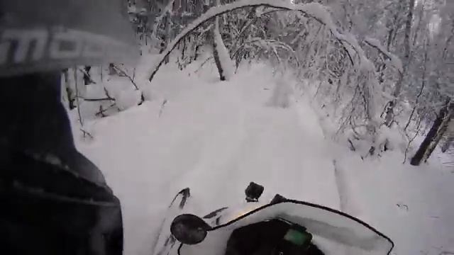 Зимний лес на снегоходе смотреть онлайн