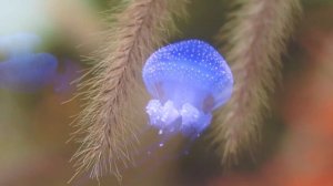 ЭНЕРГЕТИЧЕСКИЙ ВАМПИР | ПРИЗНАКИ ПОХИЩЕНИЯ ЭНЕРГИИ