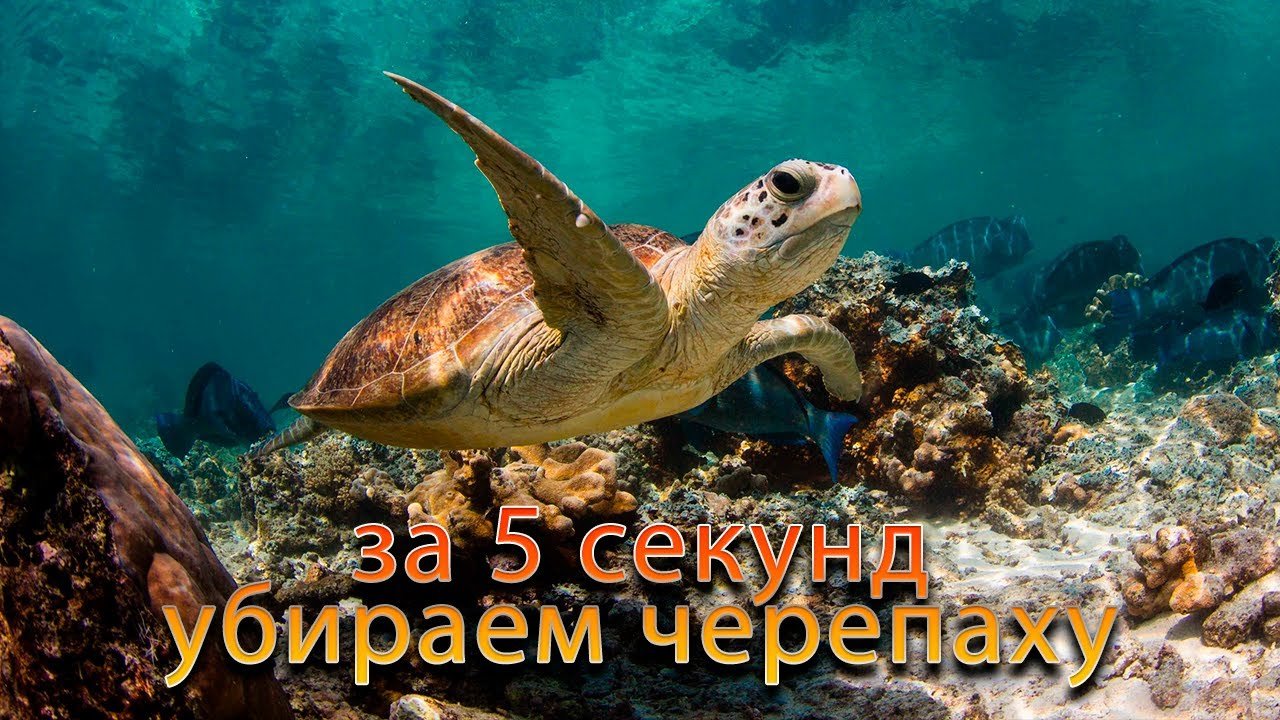 Умная заливка с учётом содержимого или как за 5 секунд убрать объект.