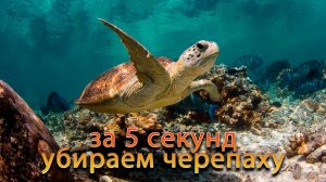 Умная заливка с учётом содержимого или как за 5 секунд убрать объект.