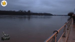 Hochwasser Rhein 2021 Canon XF400  Low Light Performance