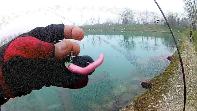 Spinning TROTA 2017 |Laghi Lontra|TROTE a GOMMA su JIGHEADS e GULP BUBBLEGUM смотреть онлайн