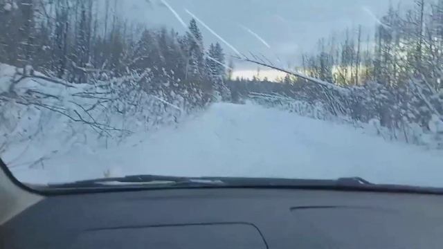 Преодолеть непреодолимое Низкая посадка Бездорожье #car #offroad #respect #toyota смотреть онлайн