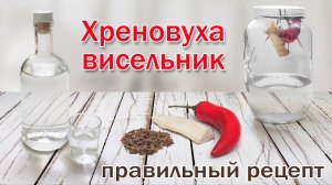 Рецепт настойки "Висельник на хрене"/ Хреновуха на самогоне-самый удачный рецепт!!!!