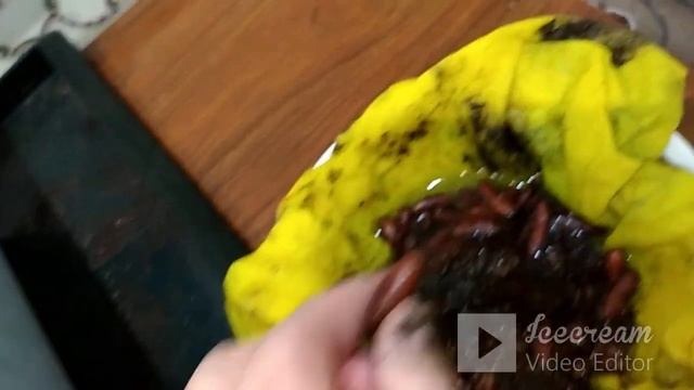 Рассадила гранаты. Сажаем финики. смотреть онлайн