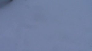 ИСКУССТВЕННАЯ МОЧЕВАЯ ТОЧКА НА ВОЛКА_устройство и принцип. ARTIFICIAL URINARY POINT_ device..mp4