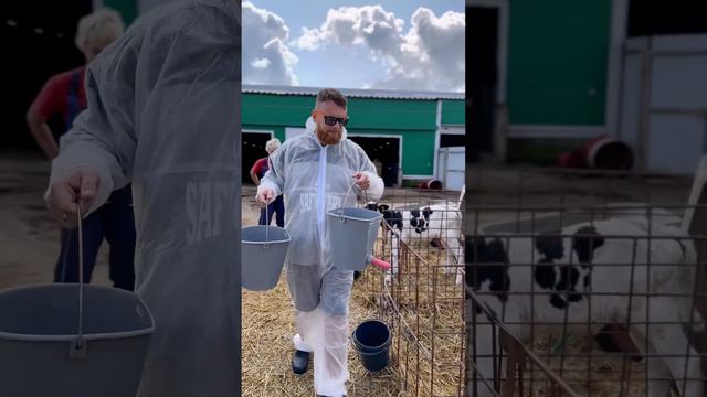 Сколько нужно времени, чтобы накормить 200 телят? смотреть онлайн