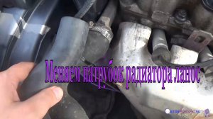 Лопнул патрубок радиатора ланос. Меняем.