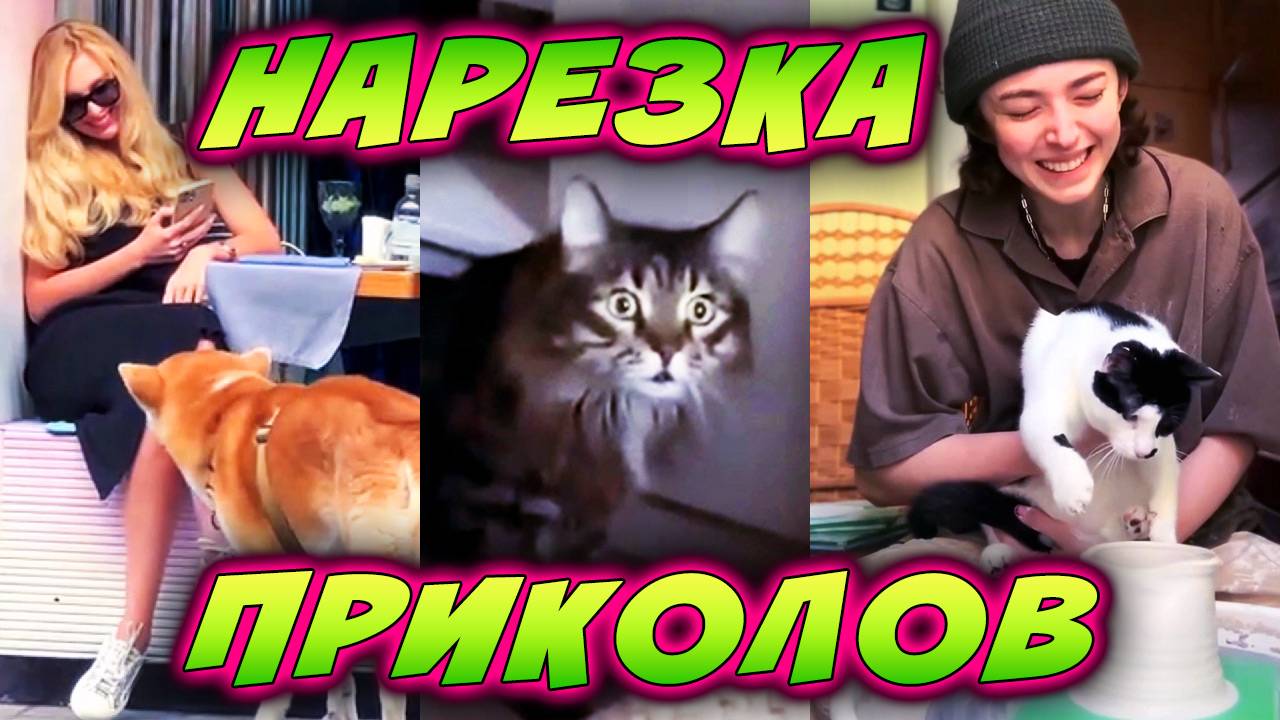 🛑 НАРЕЗКА ЛУЧШИХ СМЕШНЫХ ПРИКОЛОВ | #6 | забавный юмор, смешные животные | funny moments