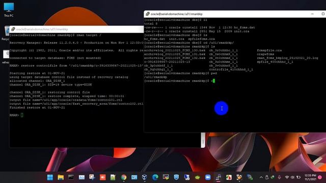 How to restore RMAN backup to a new Linux server??? смотреть онлайн
