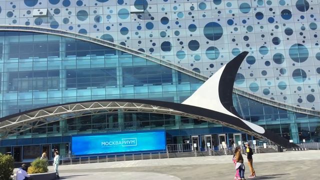 Москва. ВДНХ. Москвариум Moskvarium - действующий океанариум. смотреть онлайн
